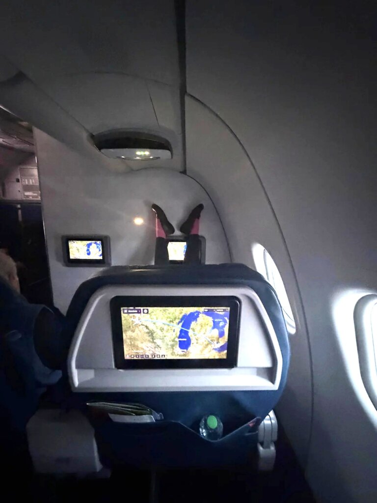Delta Seatback Screen Shows The Route Map — But The Bulkhead Played The R-Rated Director Cut [Roundup]