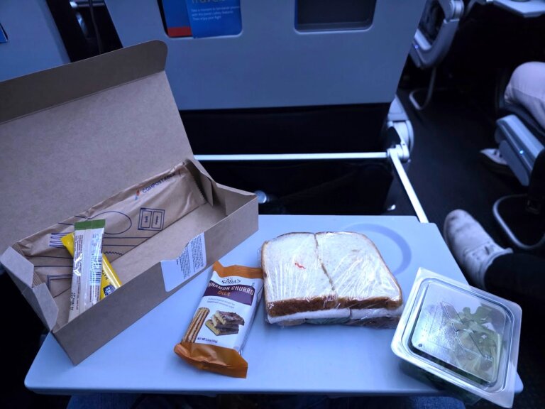 American Airlines Replaced Its Turkey Wrap With a Turkey-Brie Sandwich — And the Brie Is a Slab [Roundup]