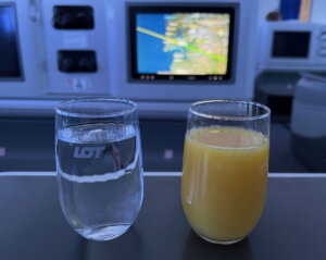 14 Travel Quirks That Grind A Reader’s Gears, From Pilot Commentary To Drinks
