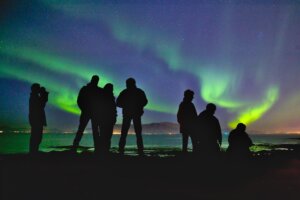 Double-dip savings at Viator with Rakuten and Amex offers