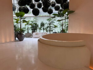 Review: The Singapore EDITION (Fine EDITION, But I Wouldn’t Return)