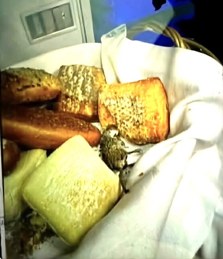 American Airlines Halted Heathrow Catering and Started Flying Meals Across the Atlantic — This Mice-in-the-Bread Photo May Explain Why